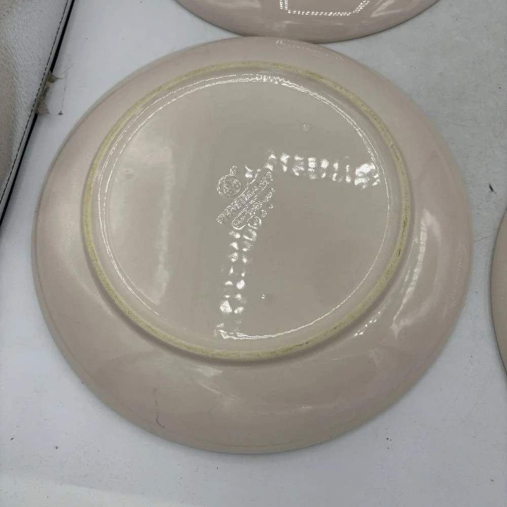 Vintage Pfaltzgraff Dinner Plates 10